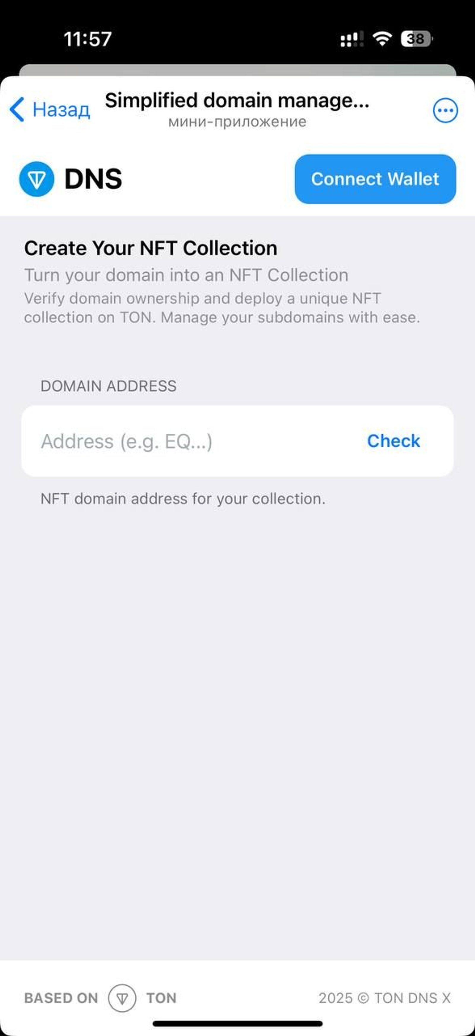 TON DNS X Telegram Screenshot 2