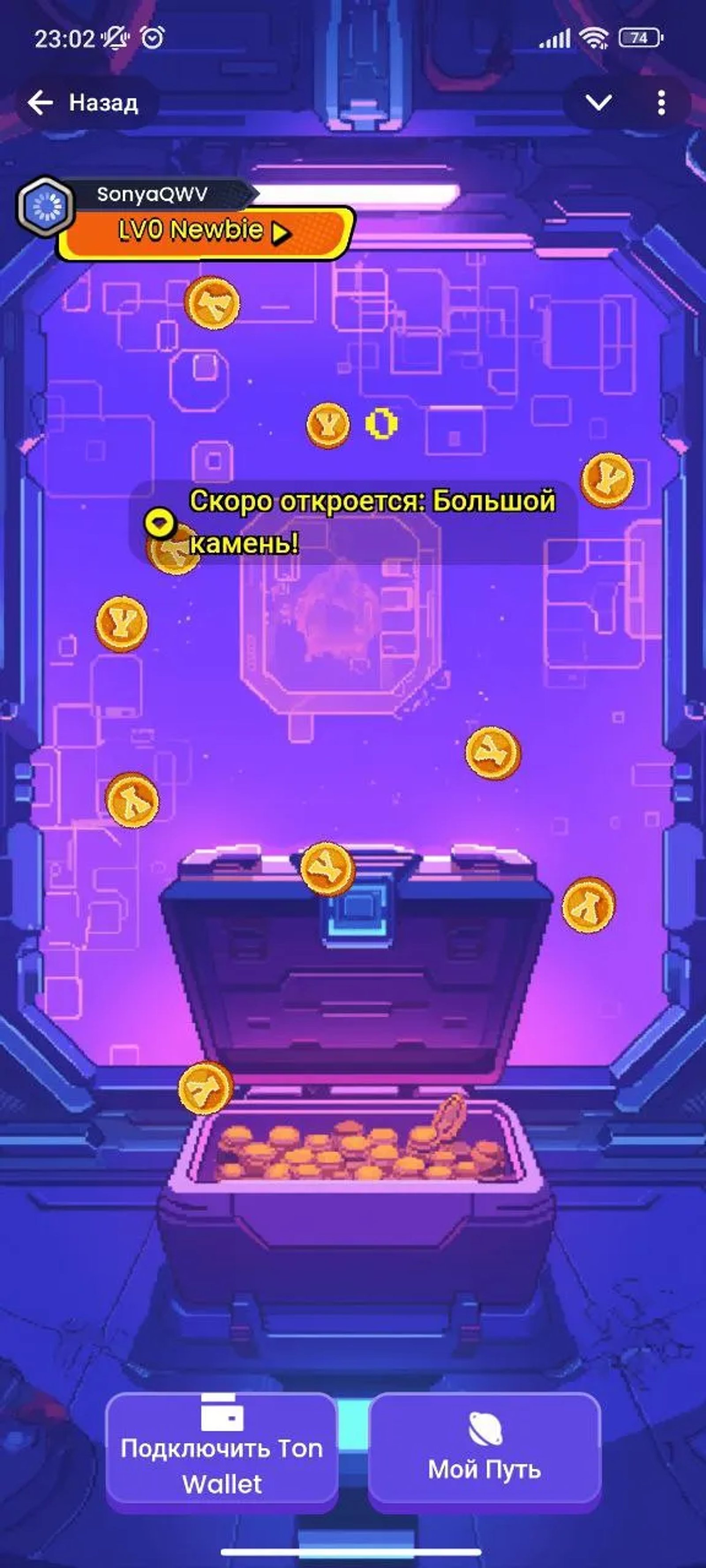 Yescoin Камень