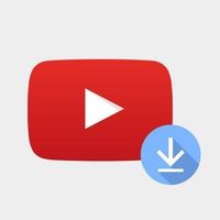 Скачать видео с Youtube TikTok ВК DZEN Likee Logo Telegram