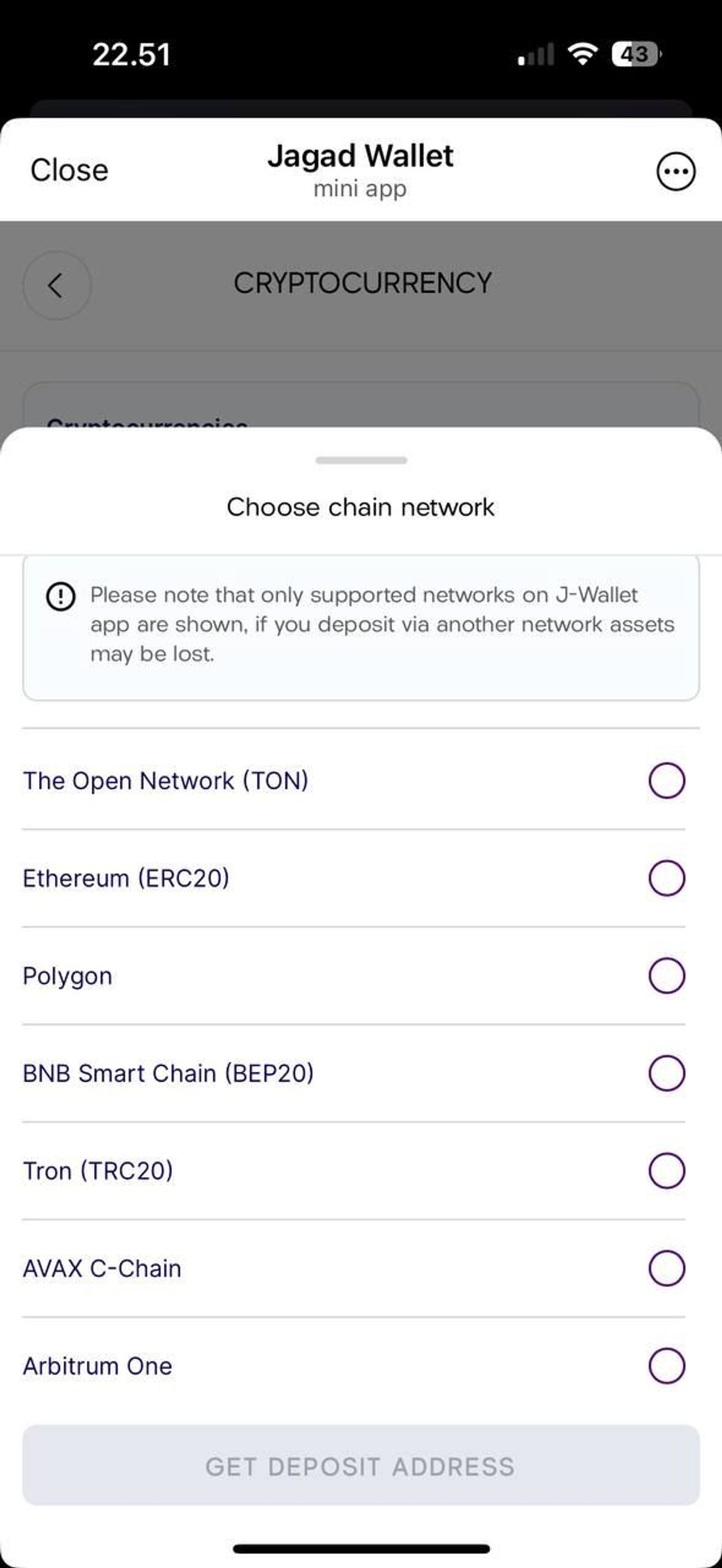 J-Wallet (Jagad Wallet) в Телеграм — скриншот 3
