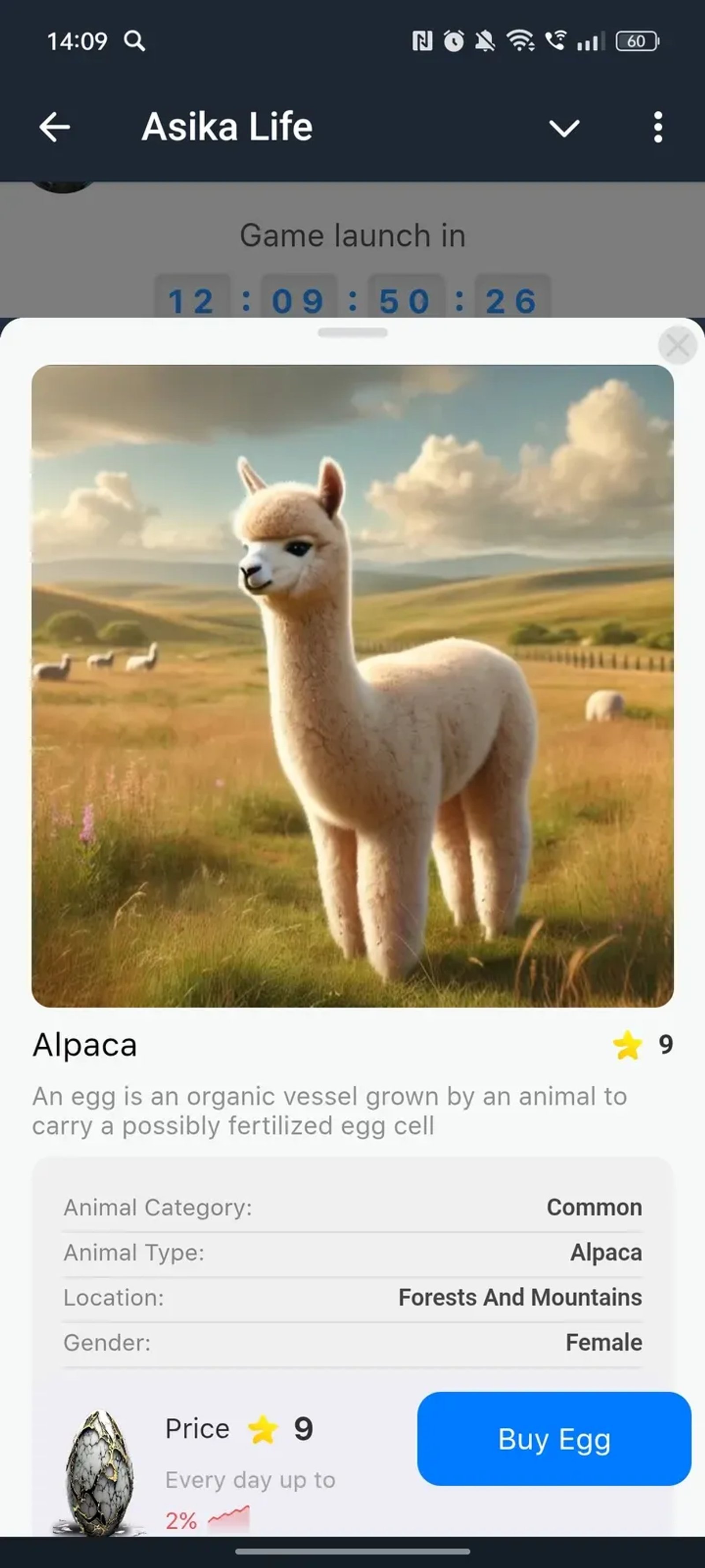 Asika Life в Телеграм — скриншот 4