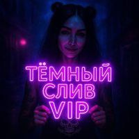 VipSliv Logo Telegram