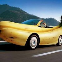 your_cars_bot Telegram Logo