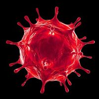 corona_clickerbot Telegram Logo corona_clickerbot Telegram Logo