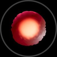 rhizome Logo Telegram