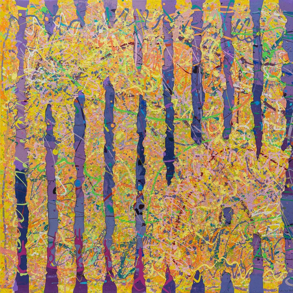 Trial No. 161 — I Am Not Jackson Pollock I