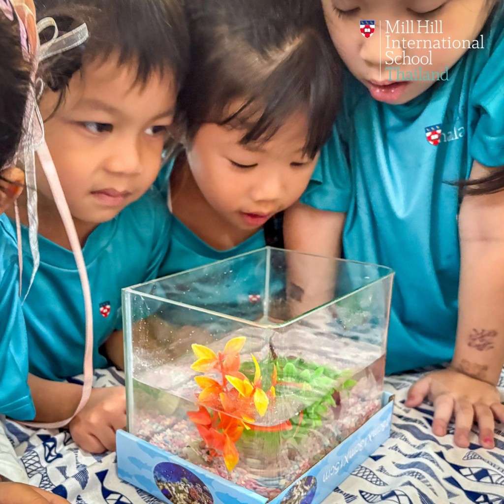 EYFS Curiosity Learning Activity | Mill Hill International School Thailand