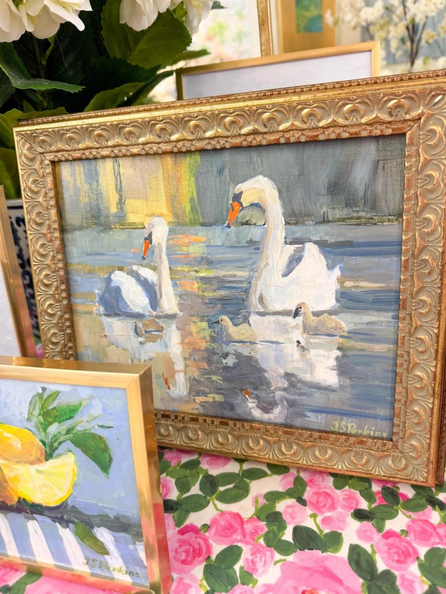 Swans and Cygnets