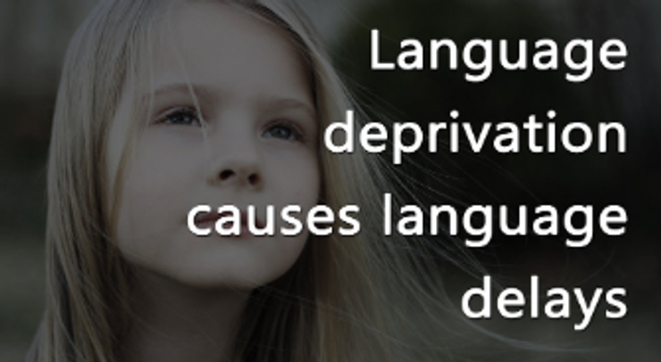 Language deprivation