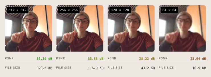 Spatial downsampling of the original 1944 × 1944 video