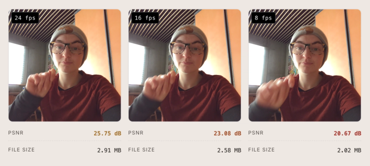 Temporal downsampling from 29.97 fps down to 8