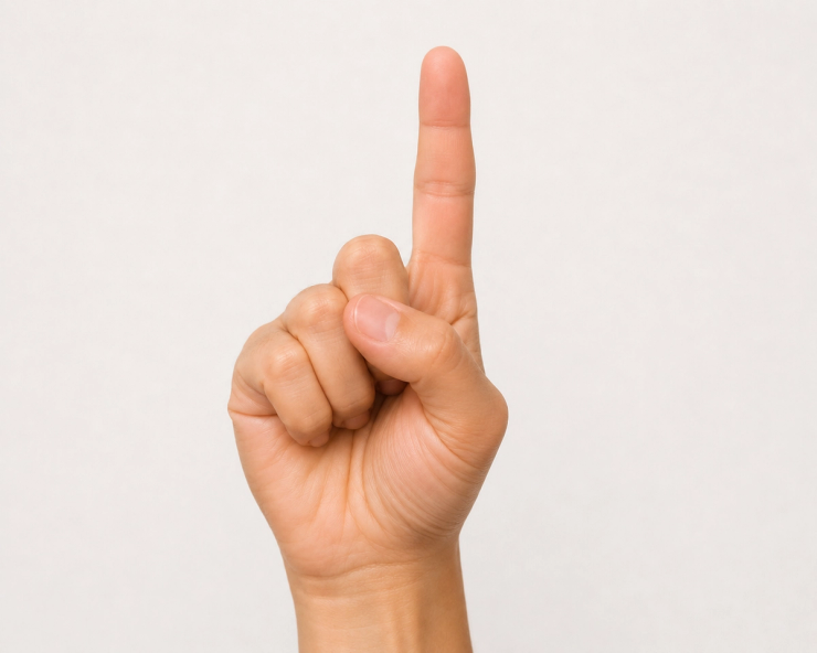 Hand forming an American Sign Language handshape used when learning how to sign deaf in ASL
