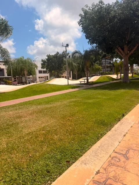 Terreno Arbolada; Cancún Quintana Roo. 