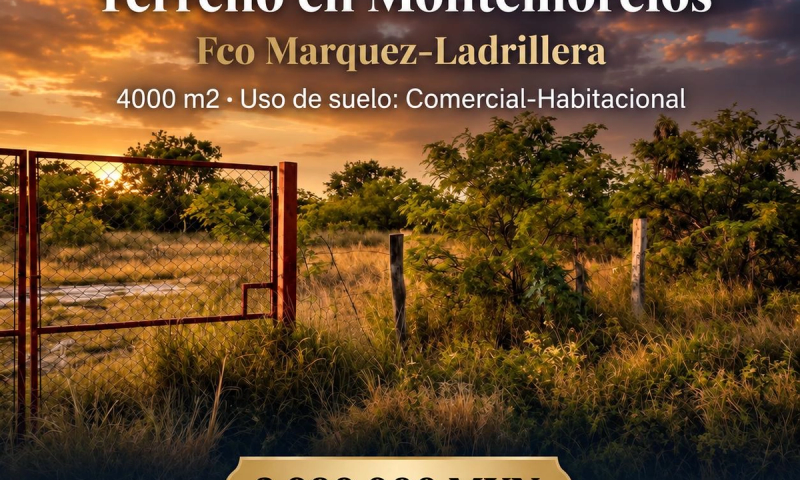 Terreno Montemorelos