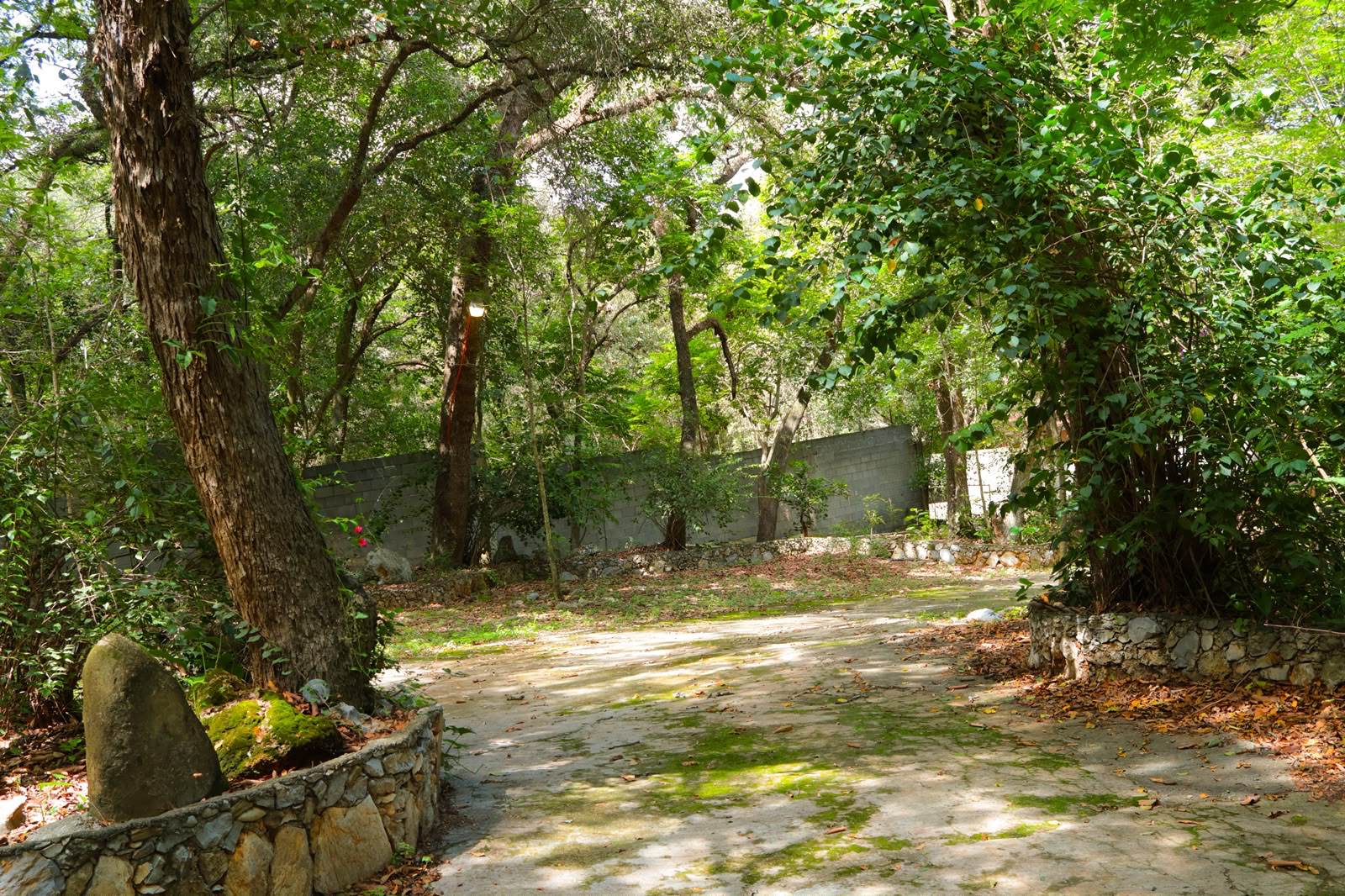 Quinta Cola de Caballo