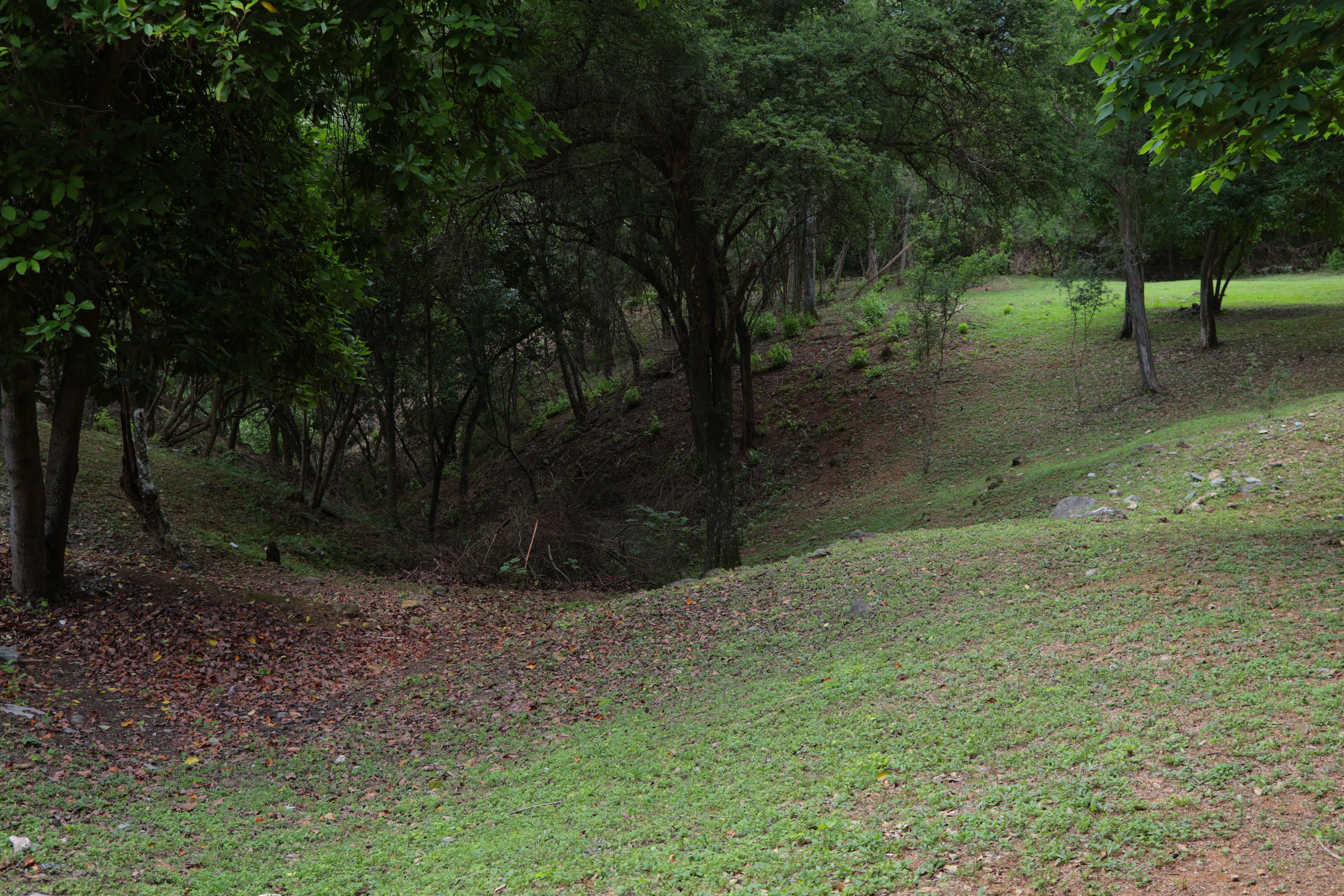 Vista Cavazos Country Estate