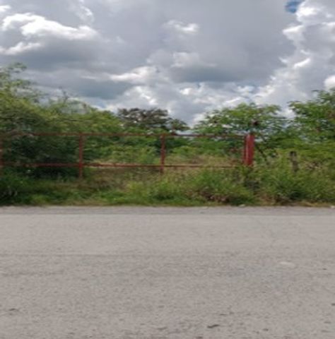 Terreno Montemorelos