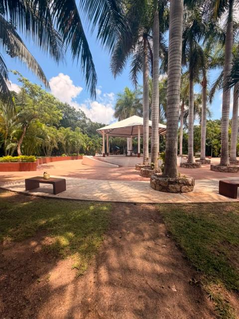 Terreno Arbolada; Cancún Quintana Roo. 