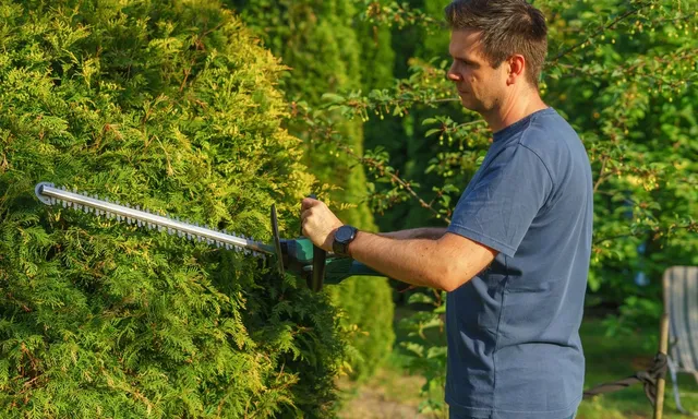 Man trimming hedge with electric trimmer in a sunny garden.