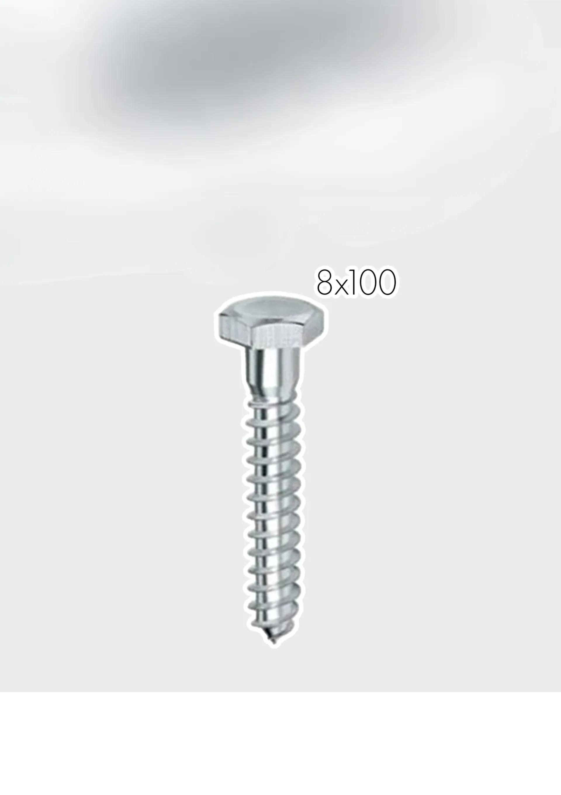 Salonit vidh 8×100 100 (600) C./ 1 kom.