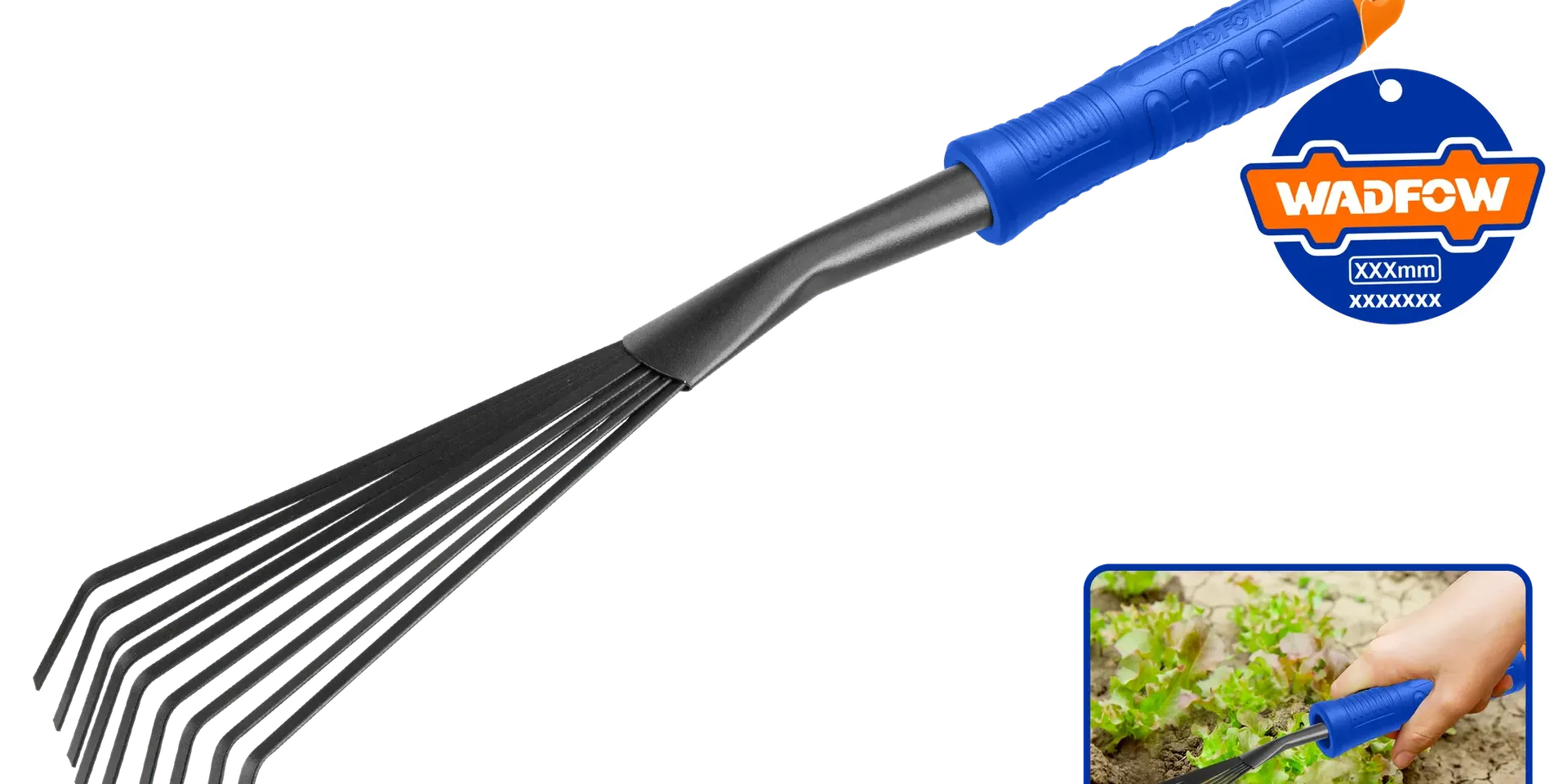 Vegla dore
