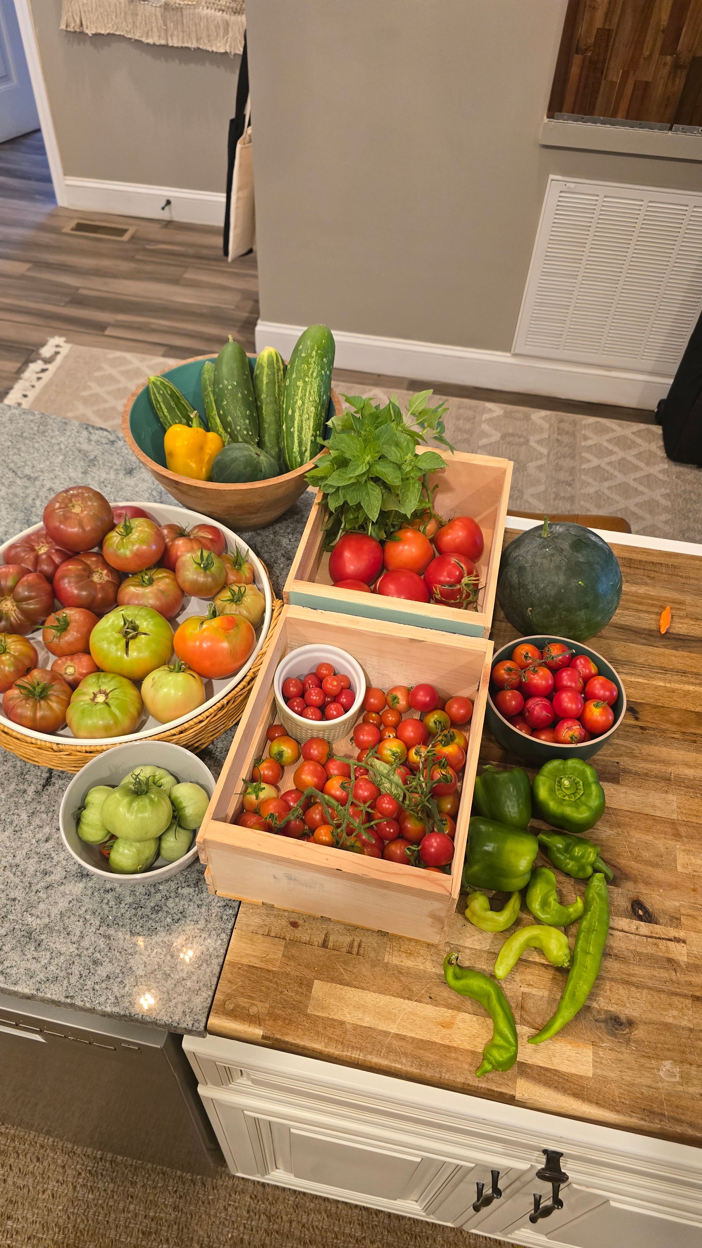 Illustrated crate of tomatoes and peppers