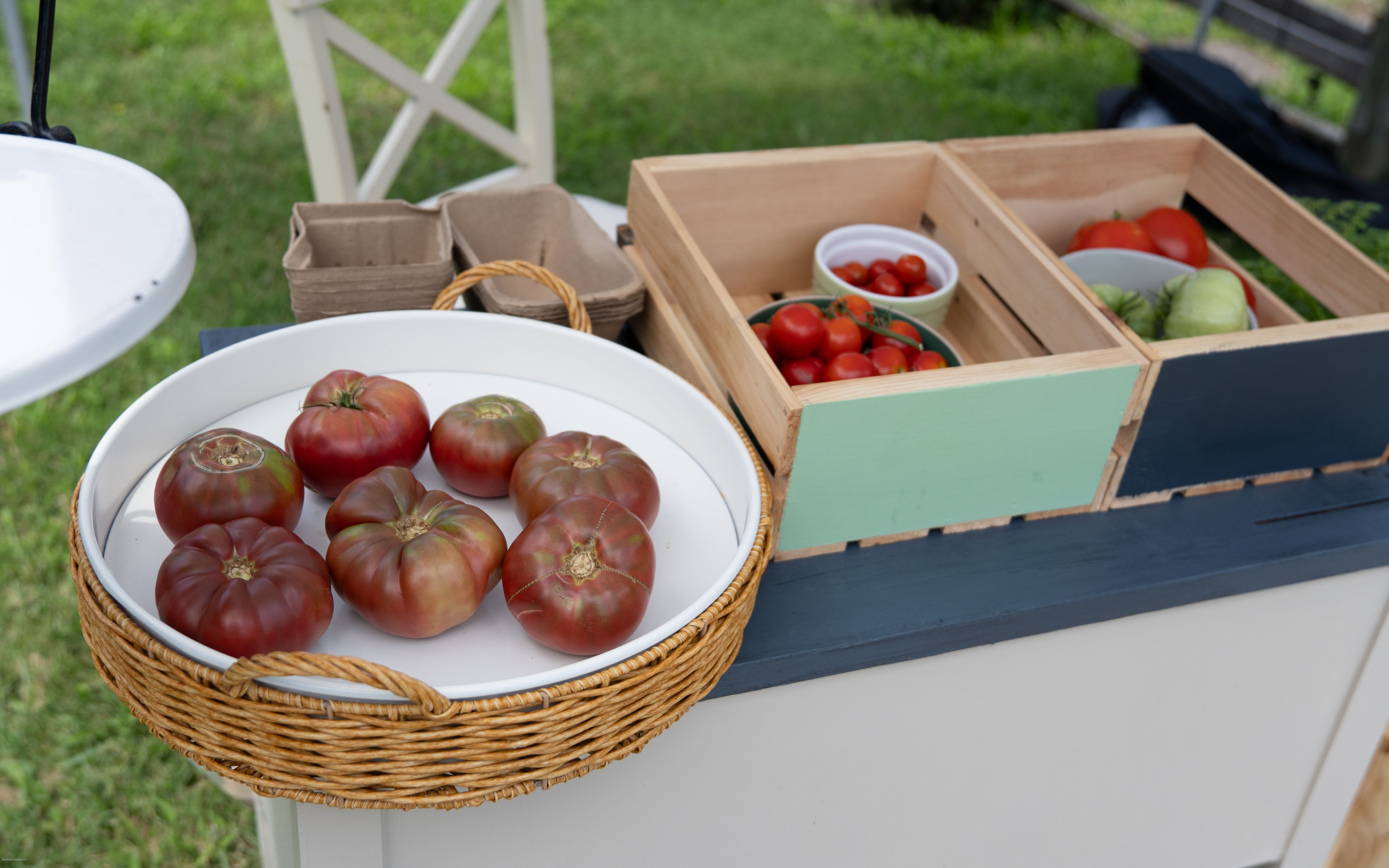 Illustrated crate of tomatoes and peppers