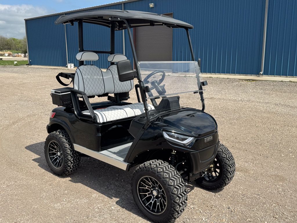 Lifted 2 Seater Black/White