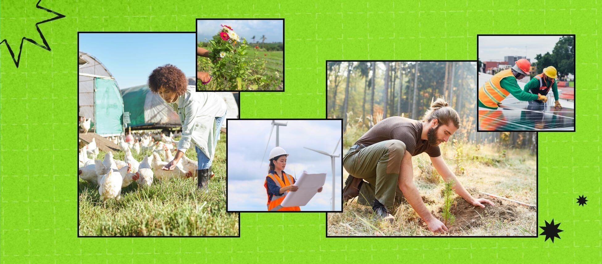 A collage of young adults taking environmental actions in their communities, in black frames on a green background