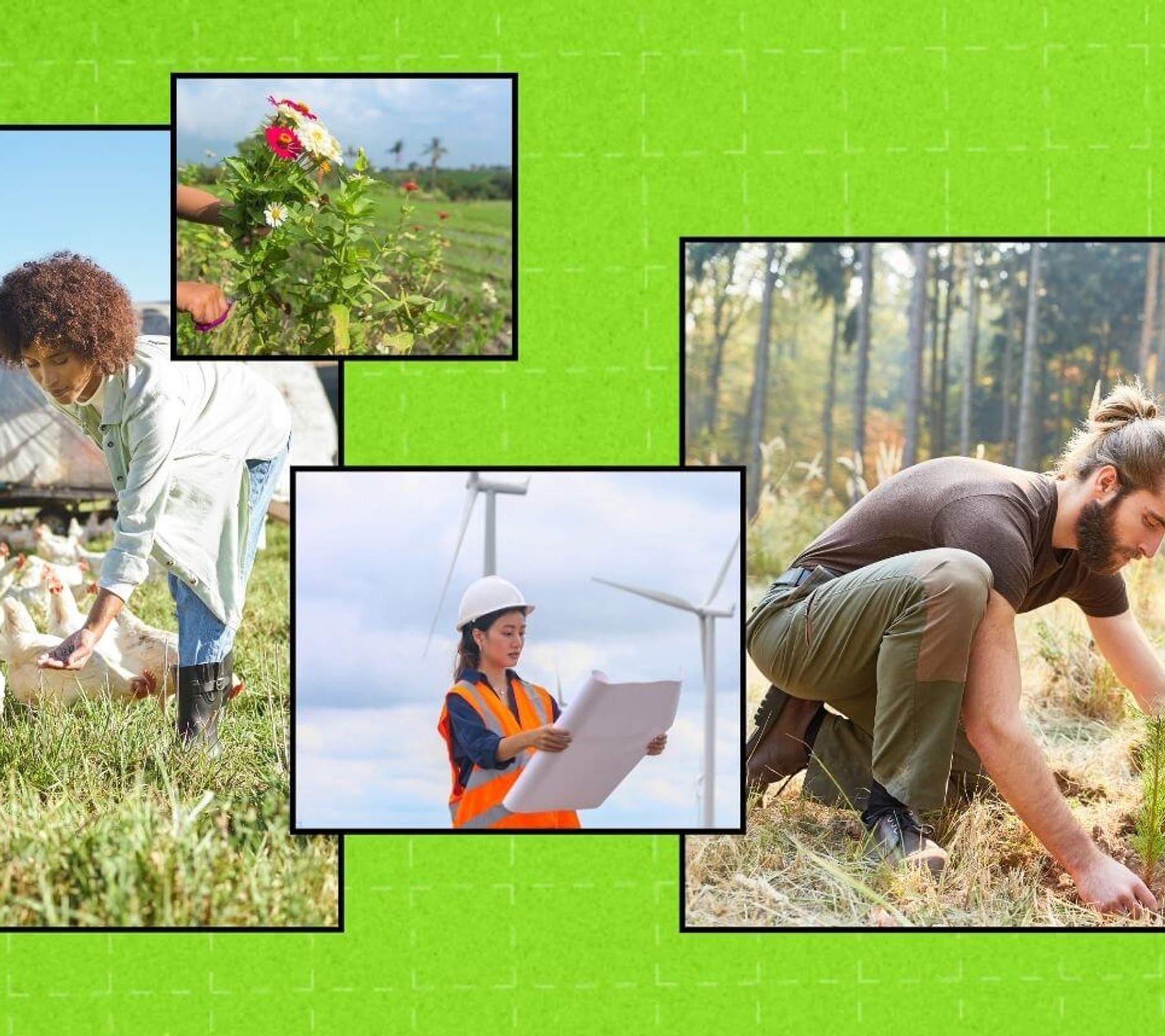 20 Essential Skills for Green Careers in a Changing Climate ...