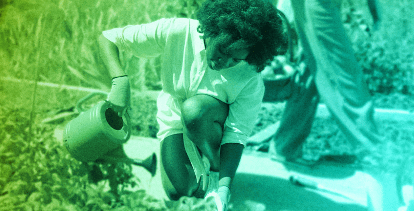 A young person kneeling in a garden watering plants