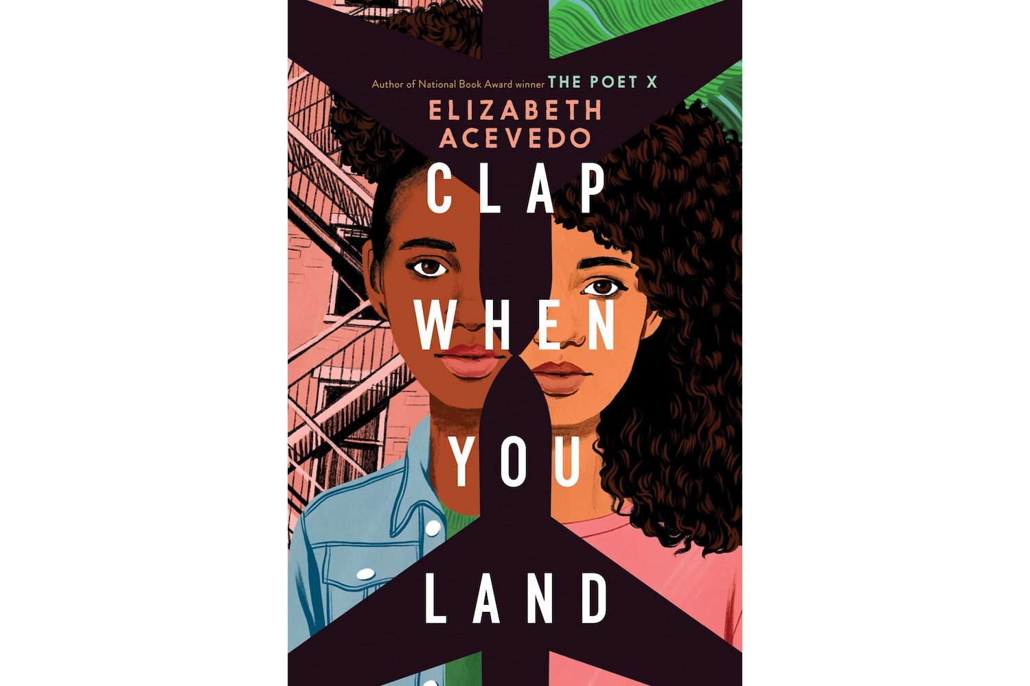 Clap When You Land (2020) by Elizabeth Acevedo