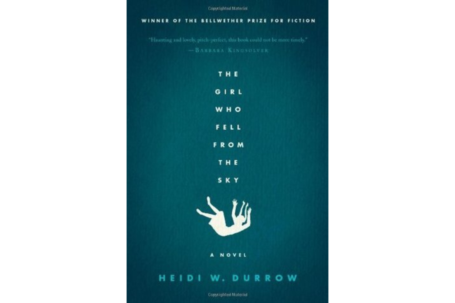 The Girl Who Fell from the Sky (2010) Heidi W. Durrow