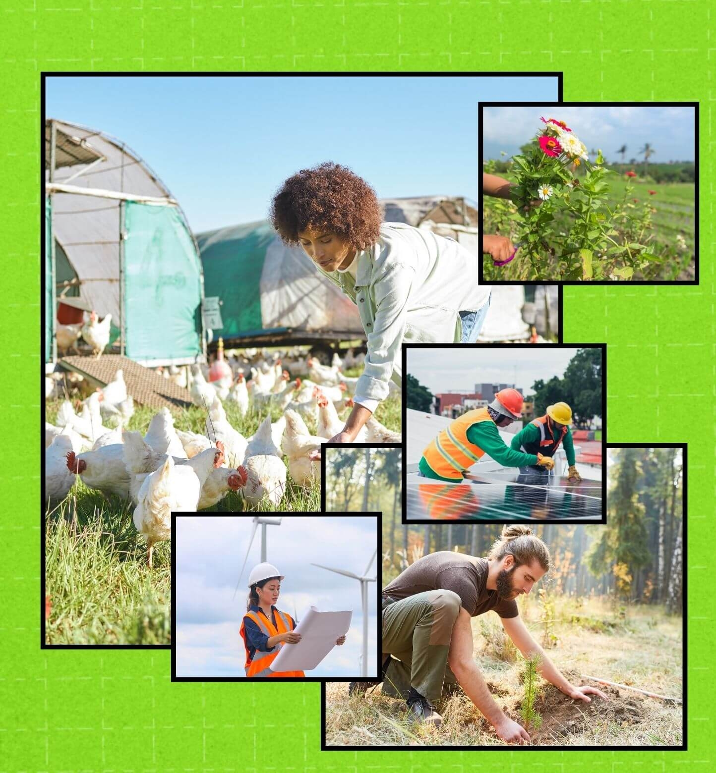 A collage of young adults taking environmental actions in their communities, in black frames on a green background