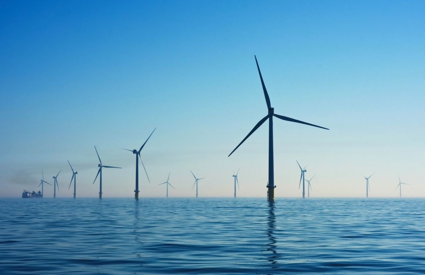 Albert Suppliers Directory 2025: Please refer to this curated directory to find sustainable suppliers