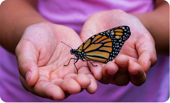 Understand your potential to promote biodiversity both on screen & off screen.