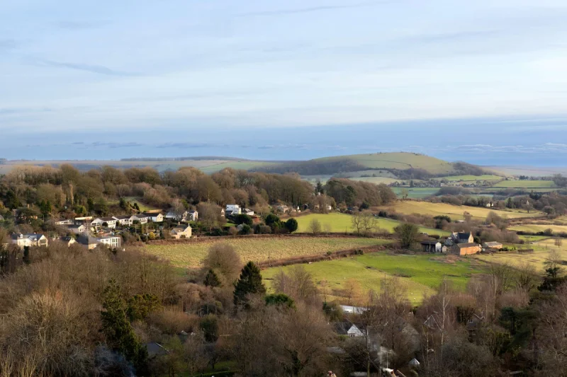 The Mitre Dorset