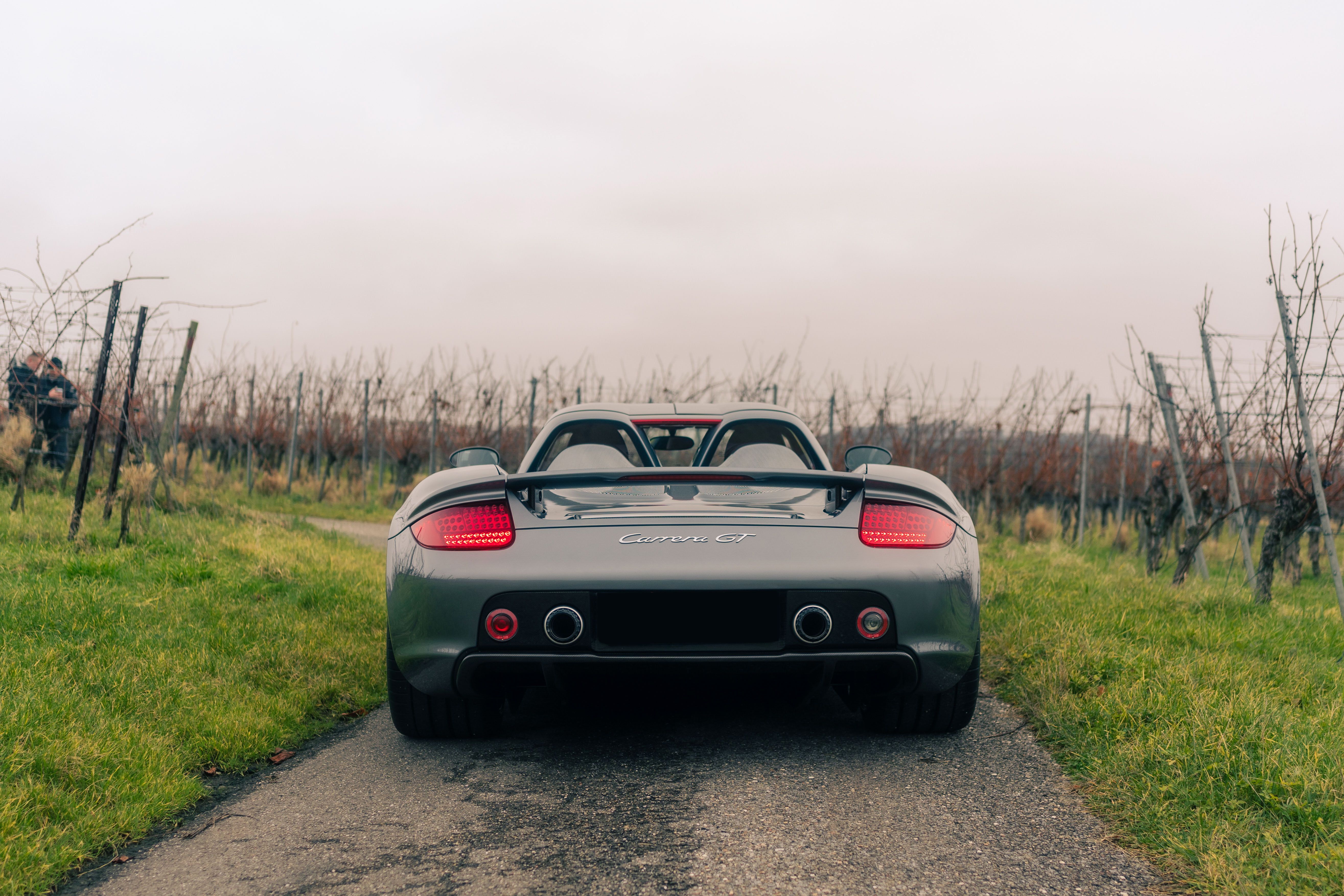 View 2004 Porsche Carrera GT (Grey) for sale exterior image (4)