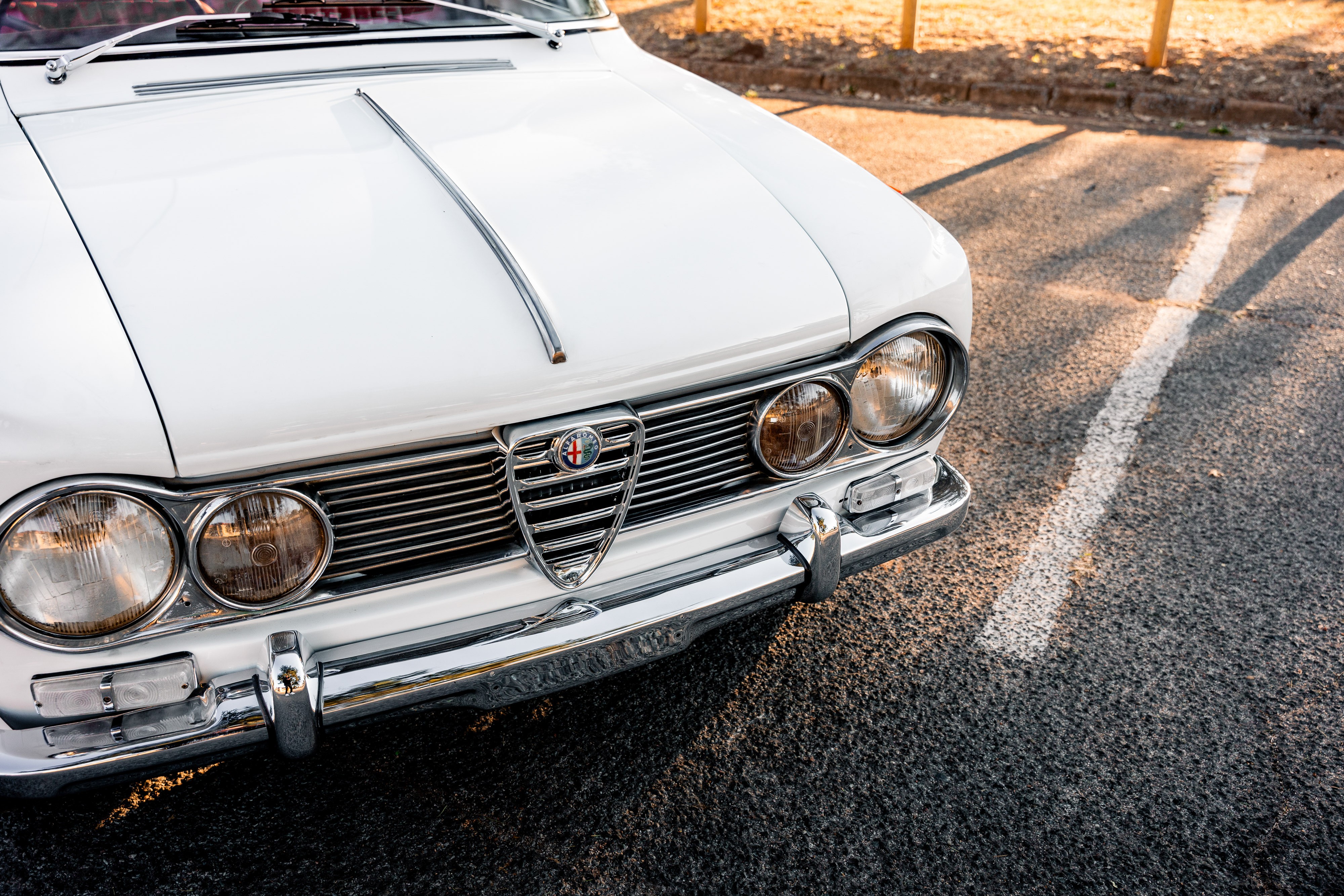 View the exterior of the 1964 Alfa Romeo Giulia Ti for sale (9)