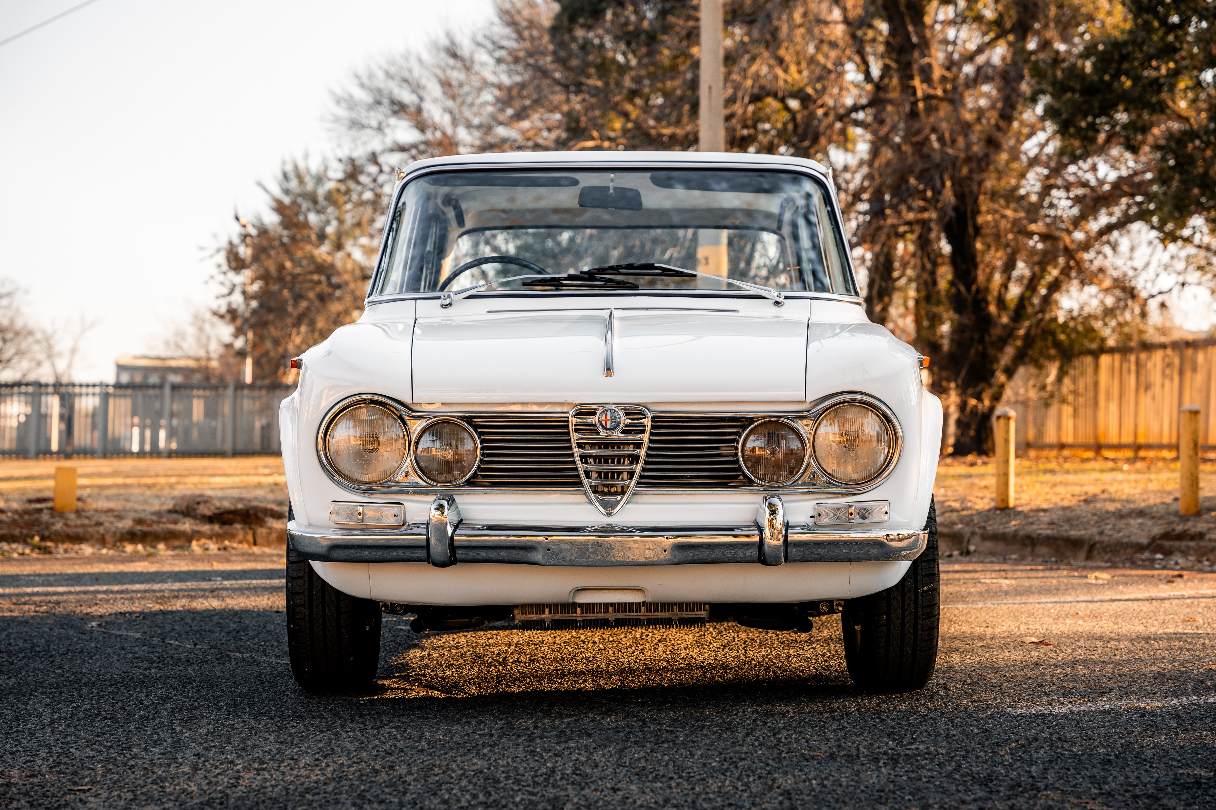 View the exterior of the 1964 Alfa Romeo Giulia Ti for sale (6)