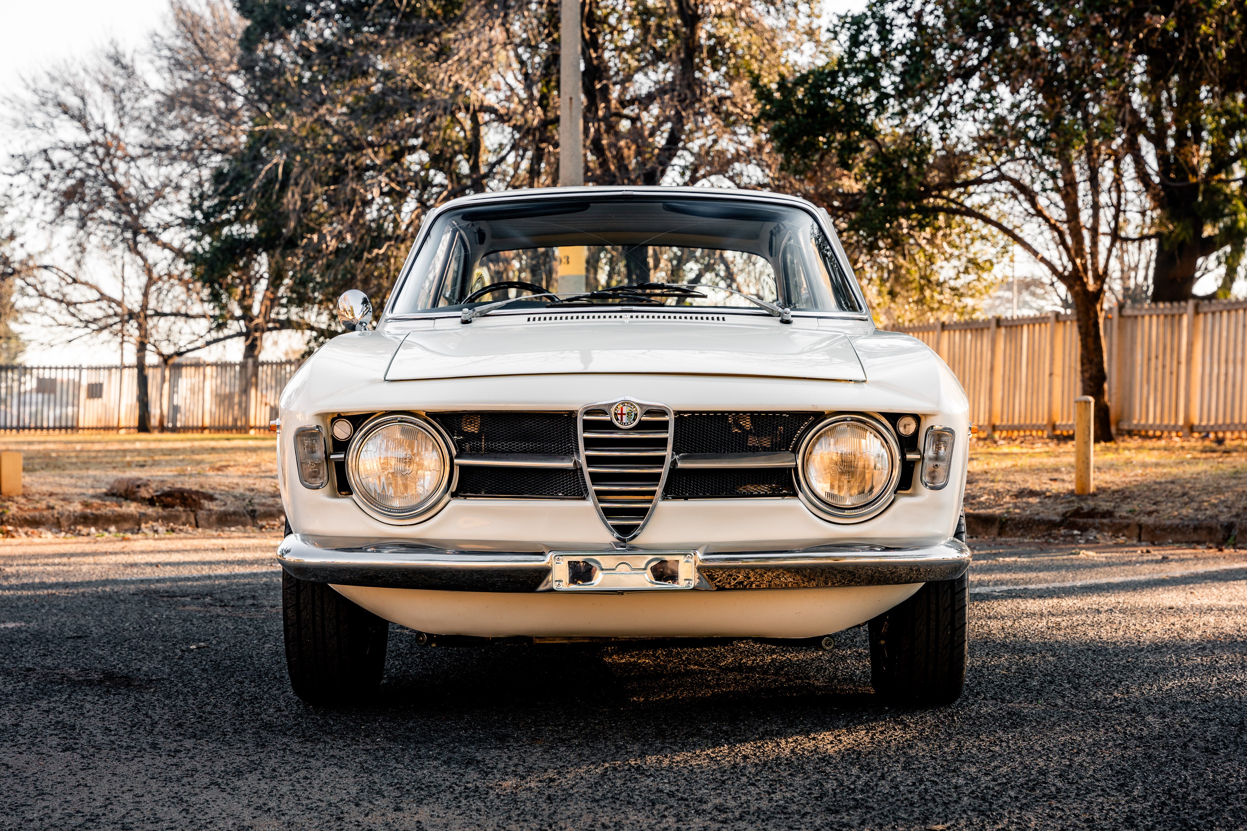 View 1967 Alfa Romeo Giulia Sprint GT Veloce for sale exterior image (7)