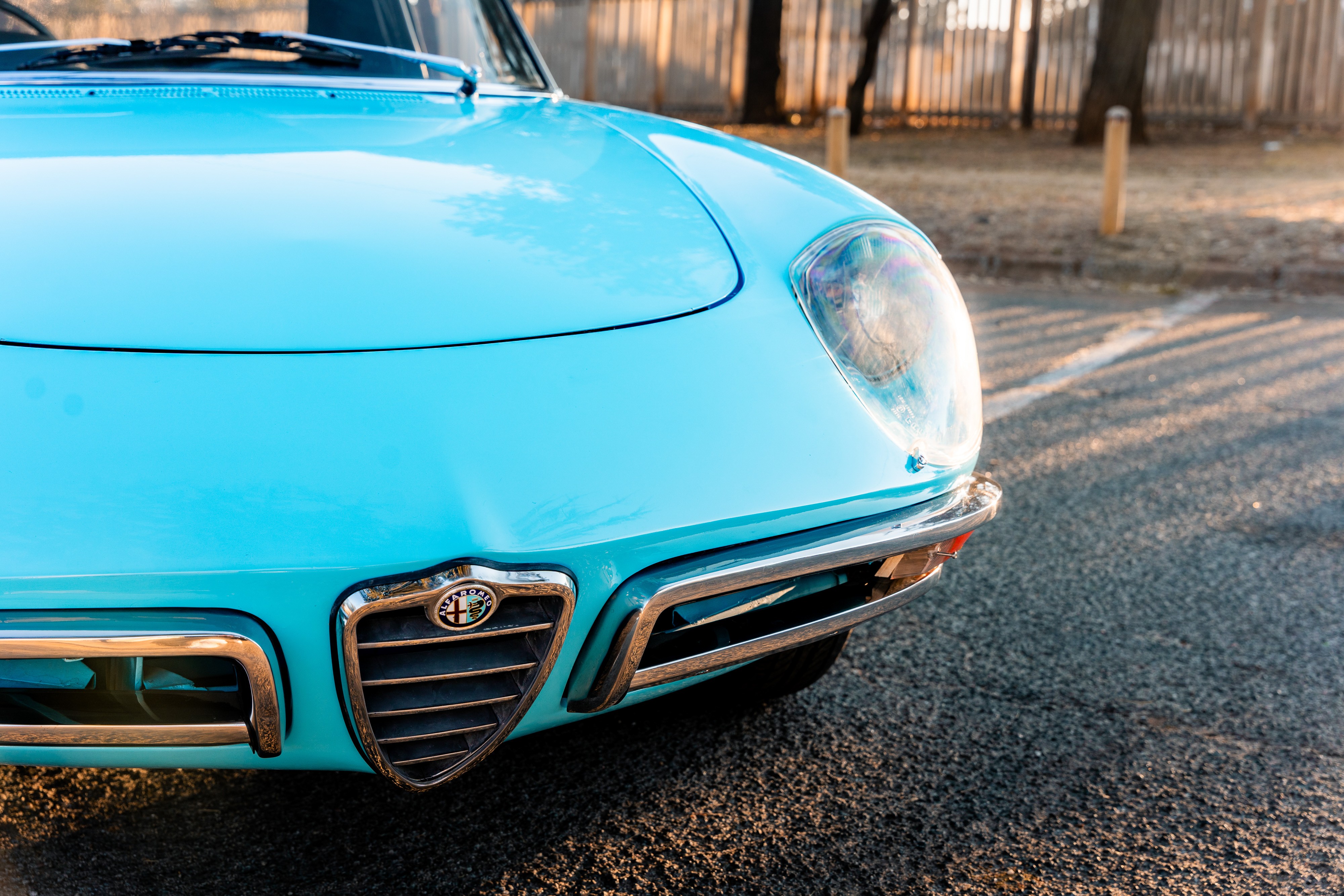 View the exterior of the 1967 Alfa Romeo Spider Duetto 1600 for sale (10)