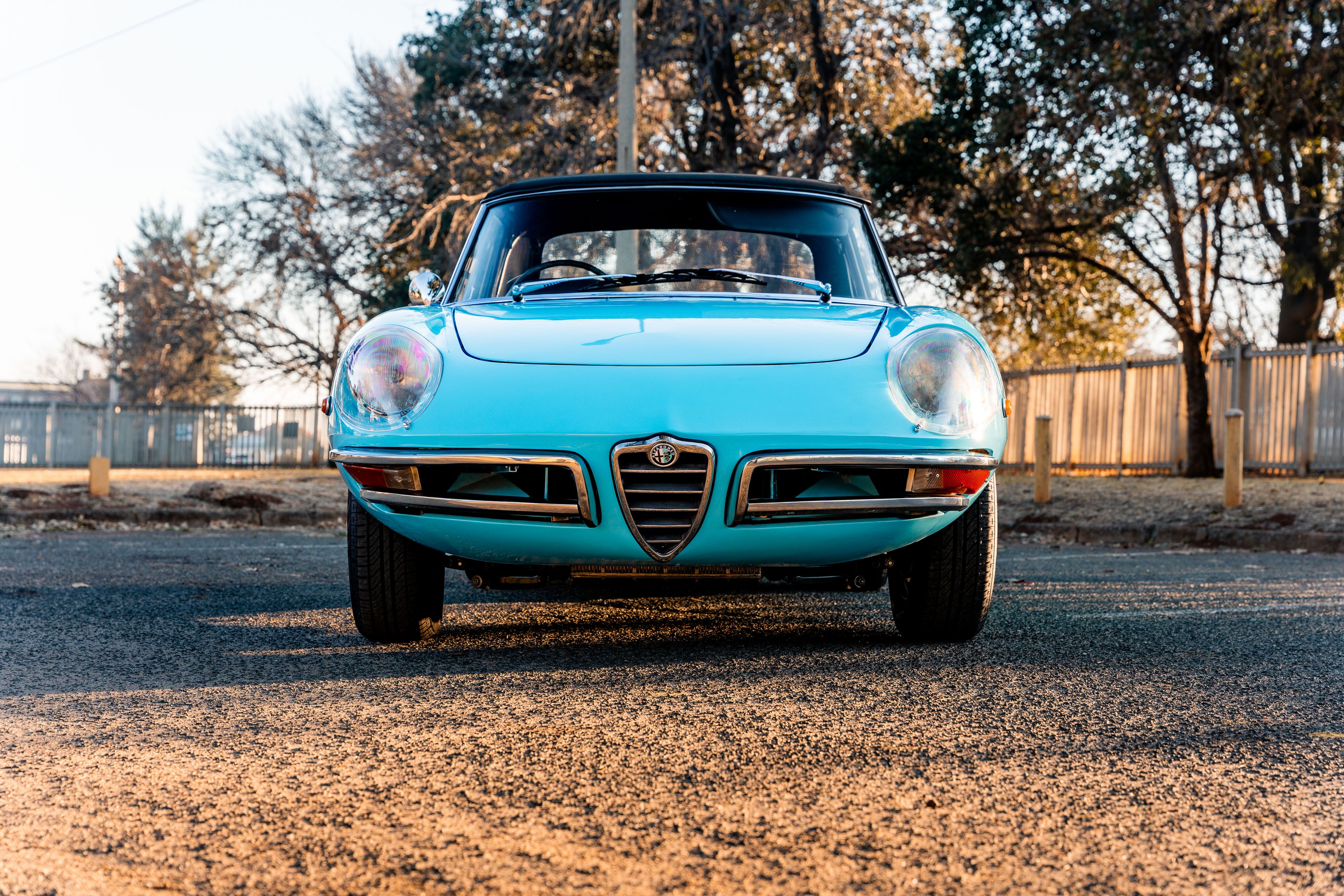 1967 Alfa Romeo Spider “Duetto” – The First, the Purest, and the