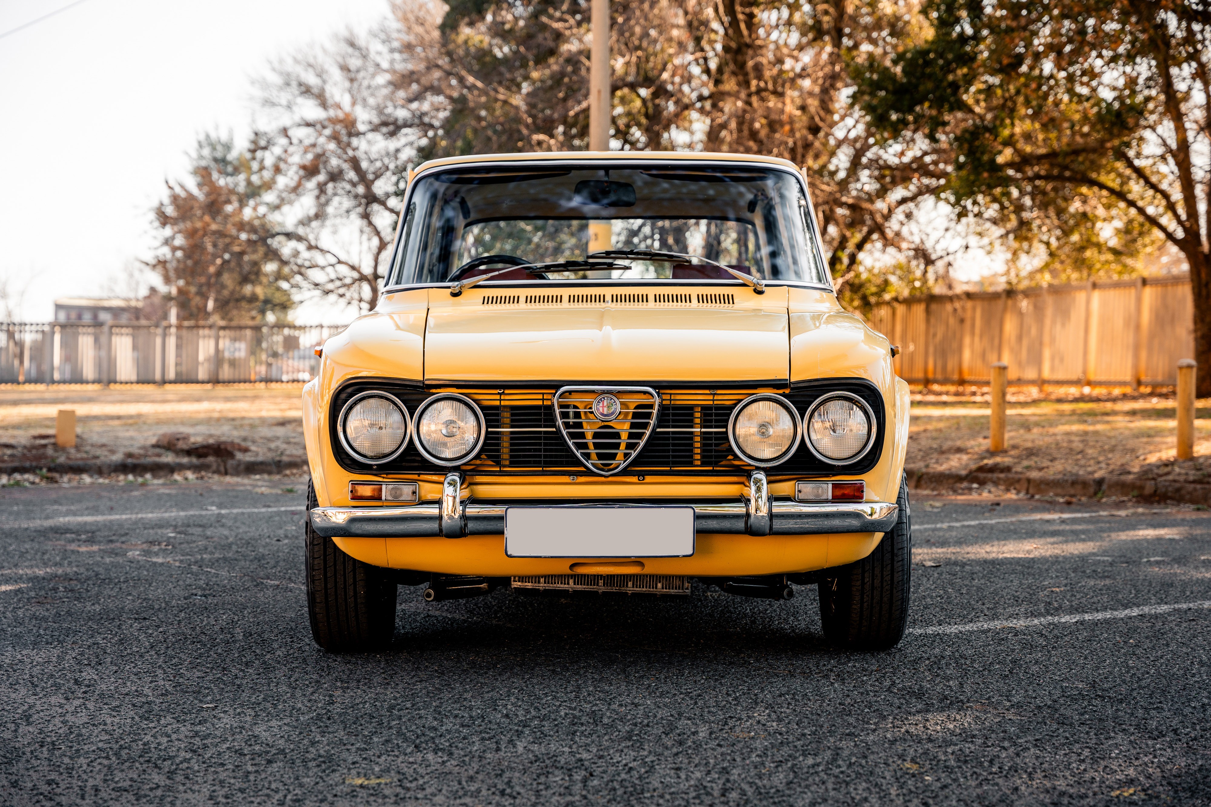 View 1973 Alfa Romeo Giulia Super Nuova for sale exterior image (2)