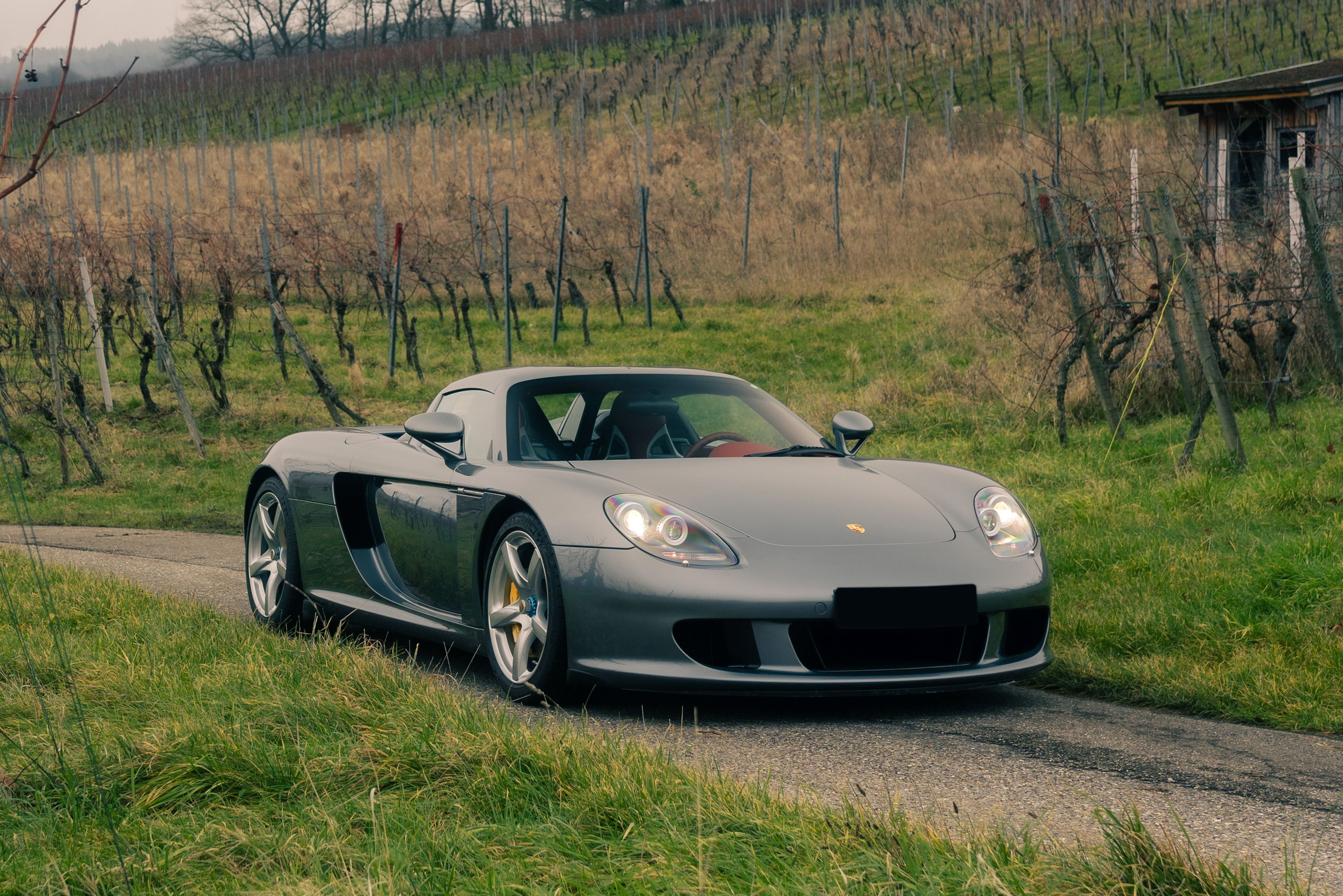 View 2004 Porsche Carrera GT (Grey) for sale exterior image (1)