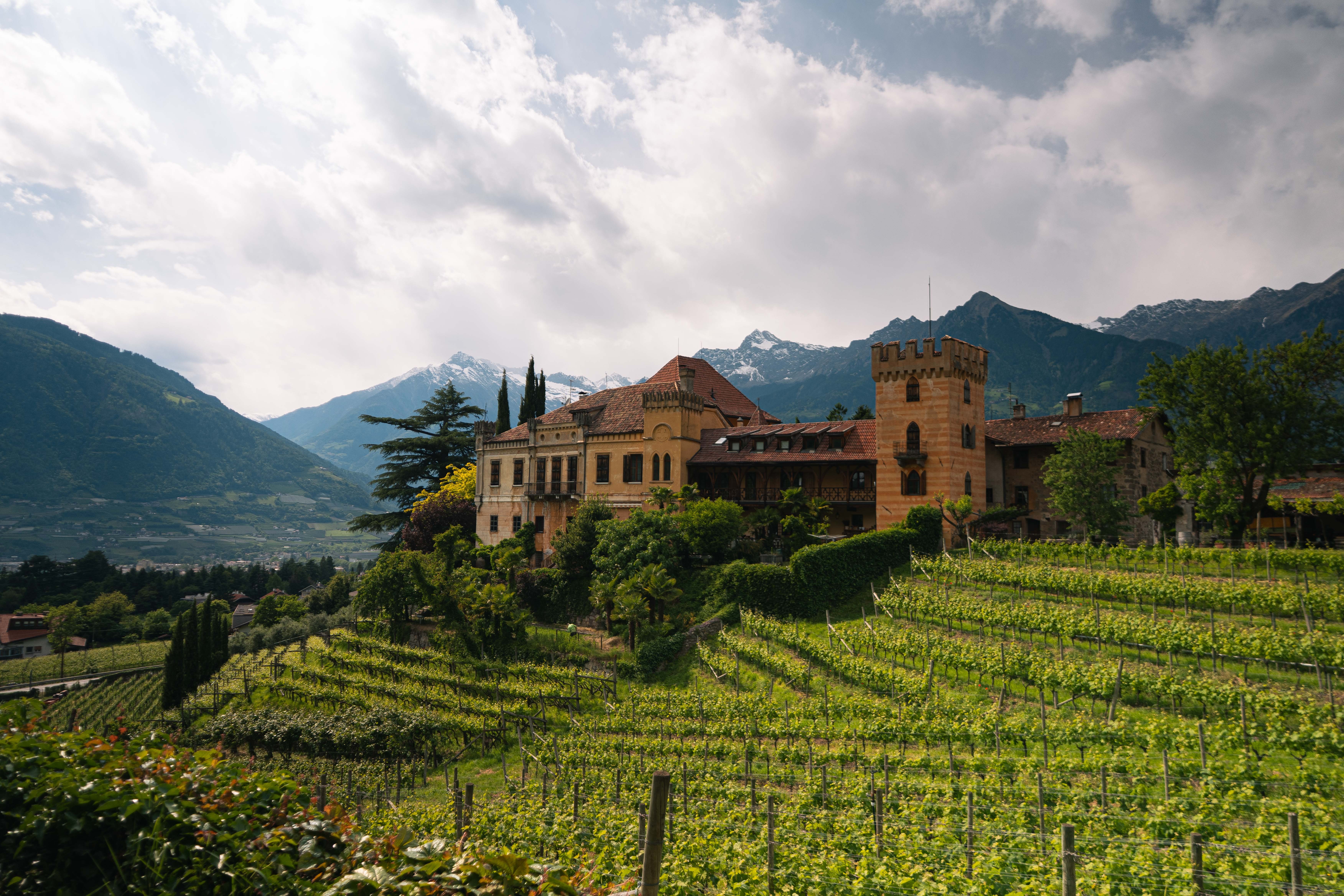 Drive the Icons bespoke driving experiences and curated retreat of vineyards