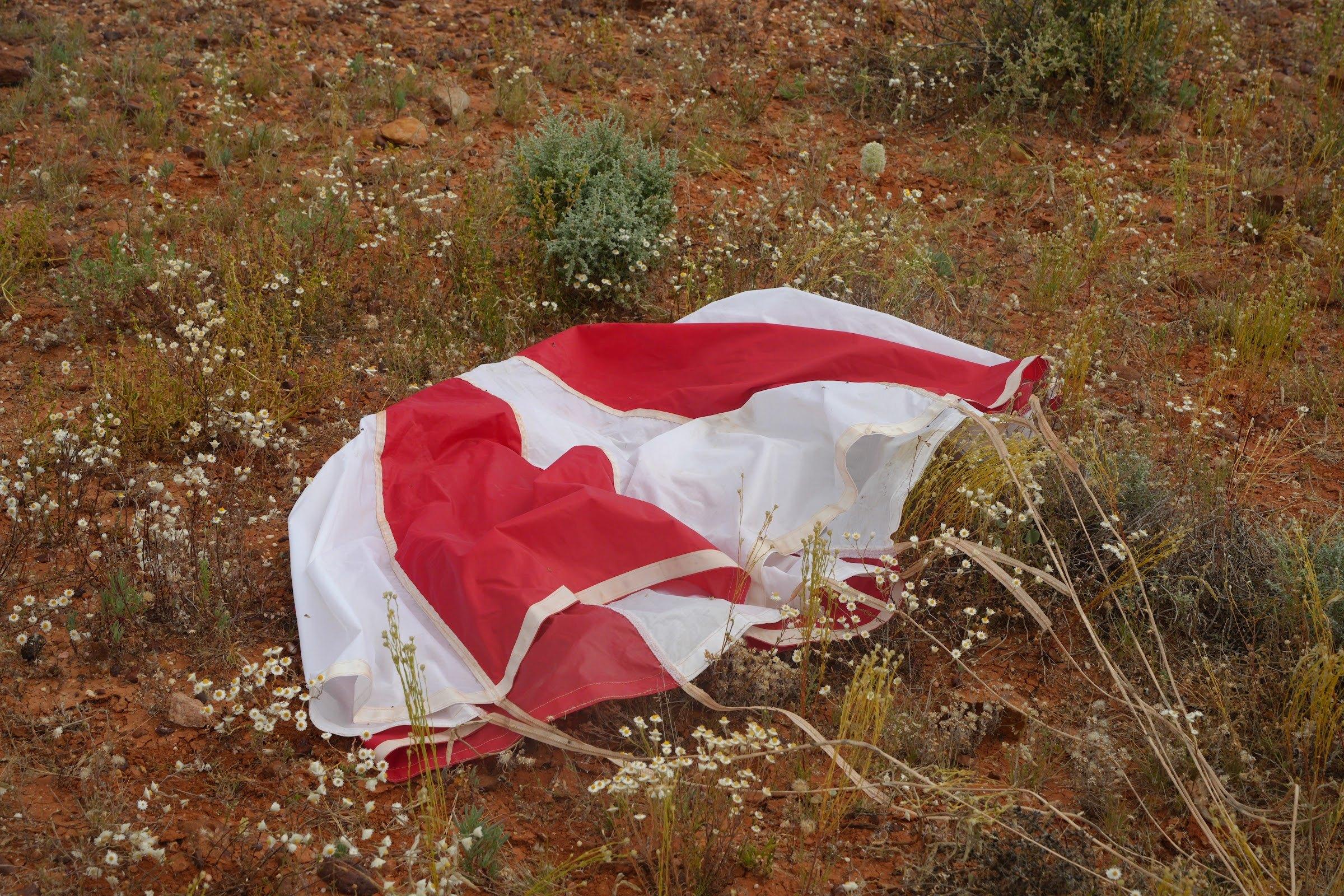 Close-up of a red and white parachute canopy lying on red soil among small white wildflowers.