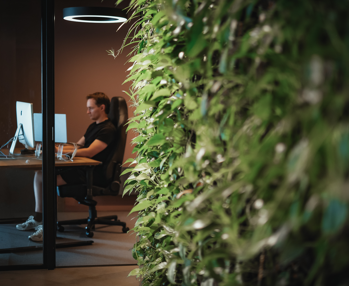 Agens worker in front of a computer, green wall in the foreground