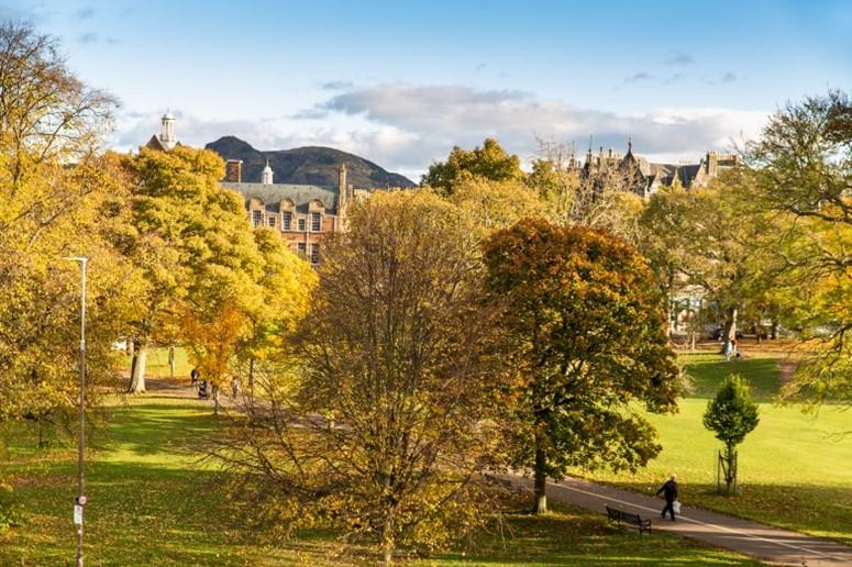 Autumn trees on Bruntsfield Links
