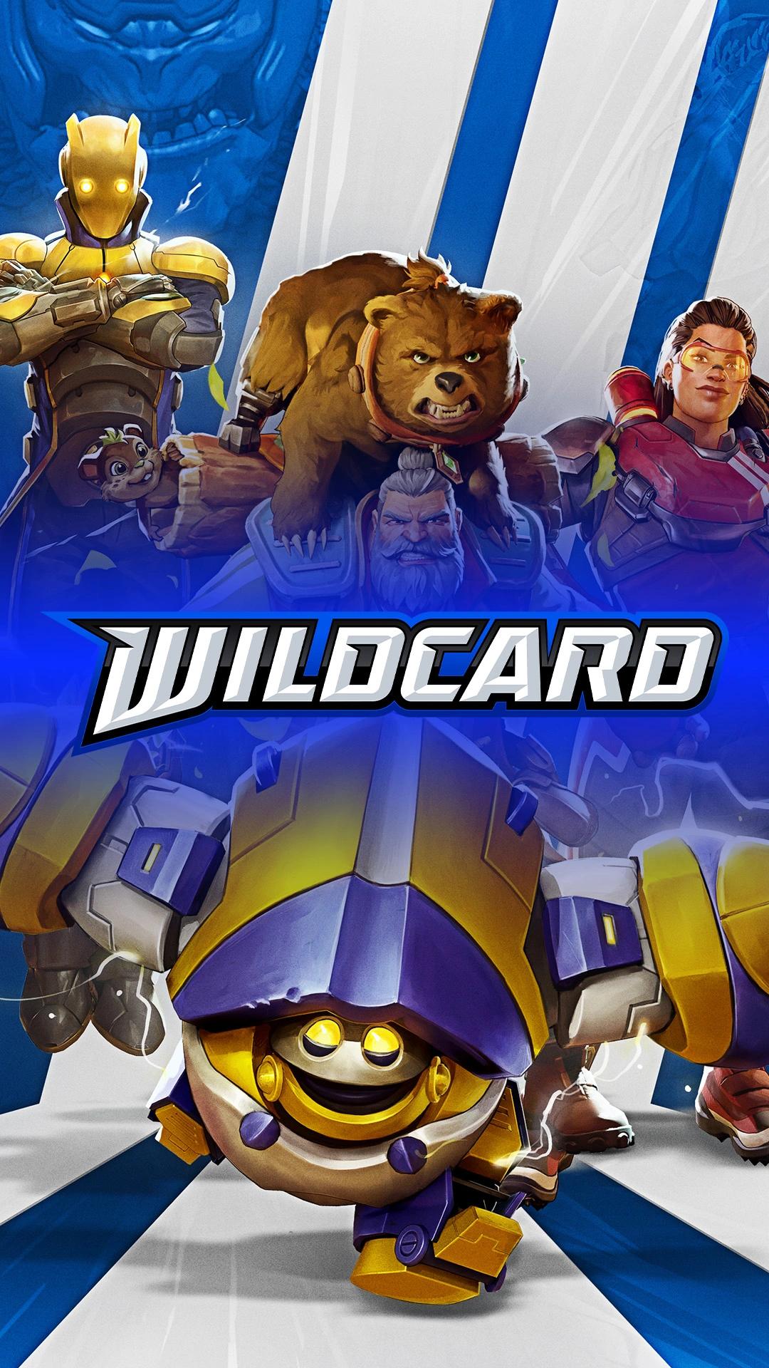 Wildcard